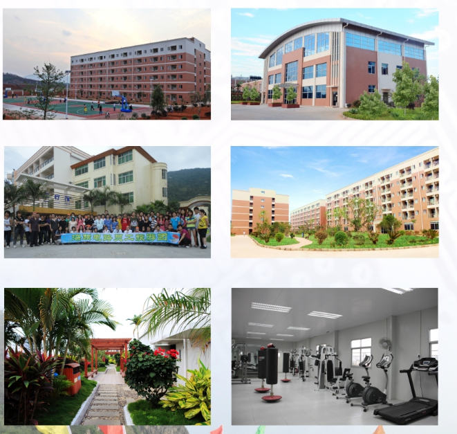 企業(yè)文化 企業(yè)文化