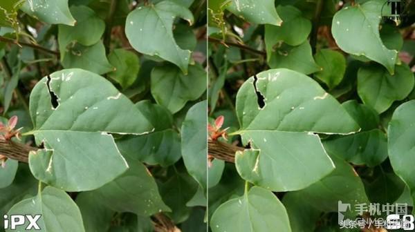 iPhone X與三星S8拍照對(duì)比 結(jié)果無懸念？