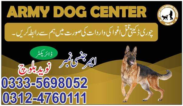 Army Dog Centre Pak 